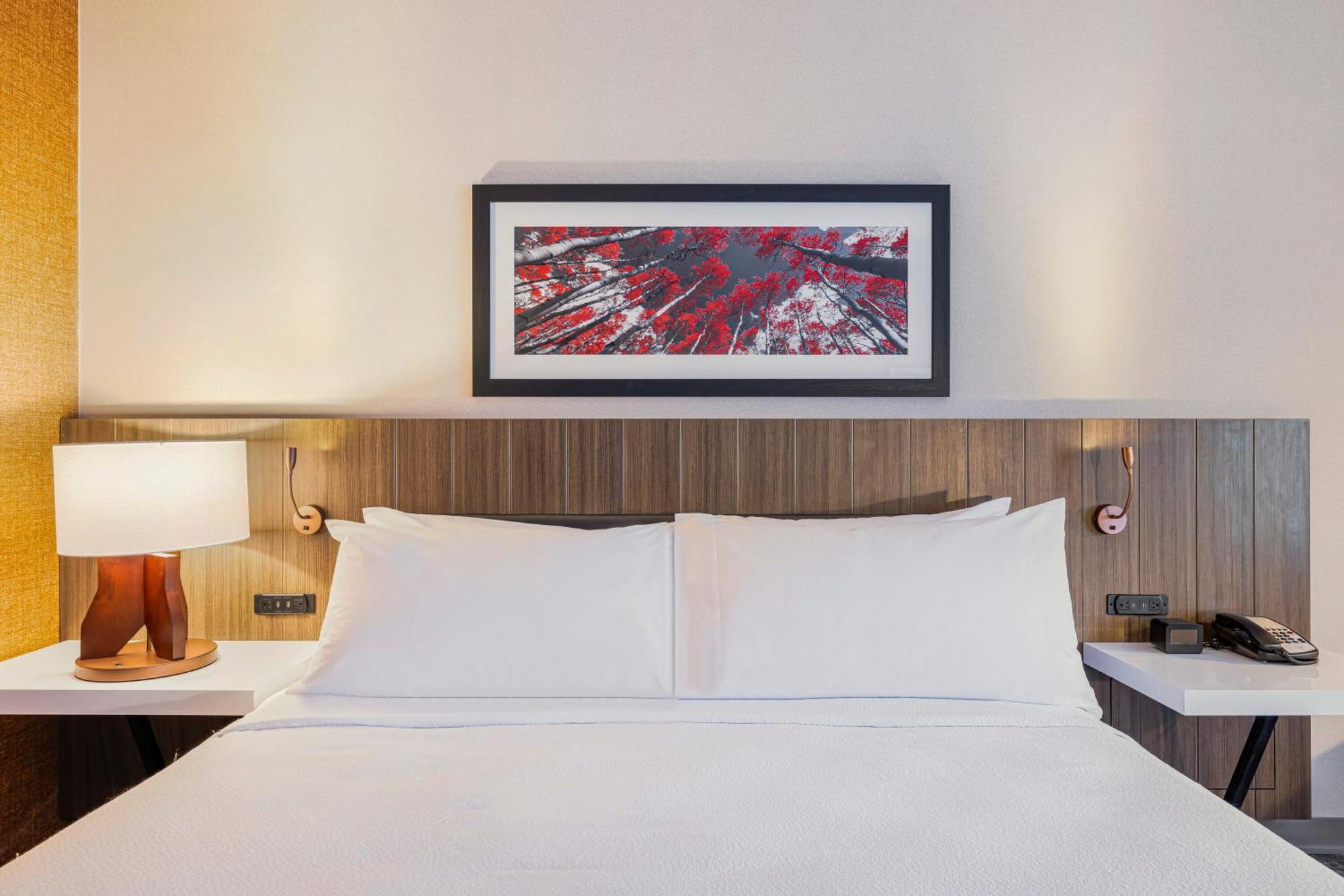 Hilton Garden Inn Colorado Springs Airport מראה חיצוני תמונה